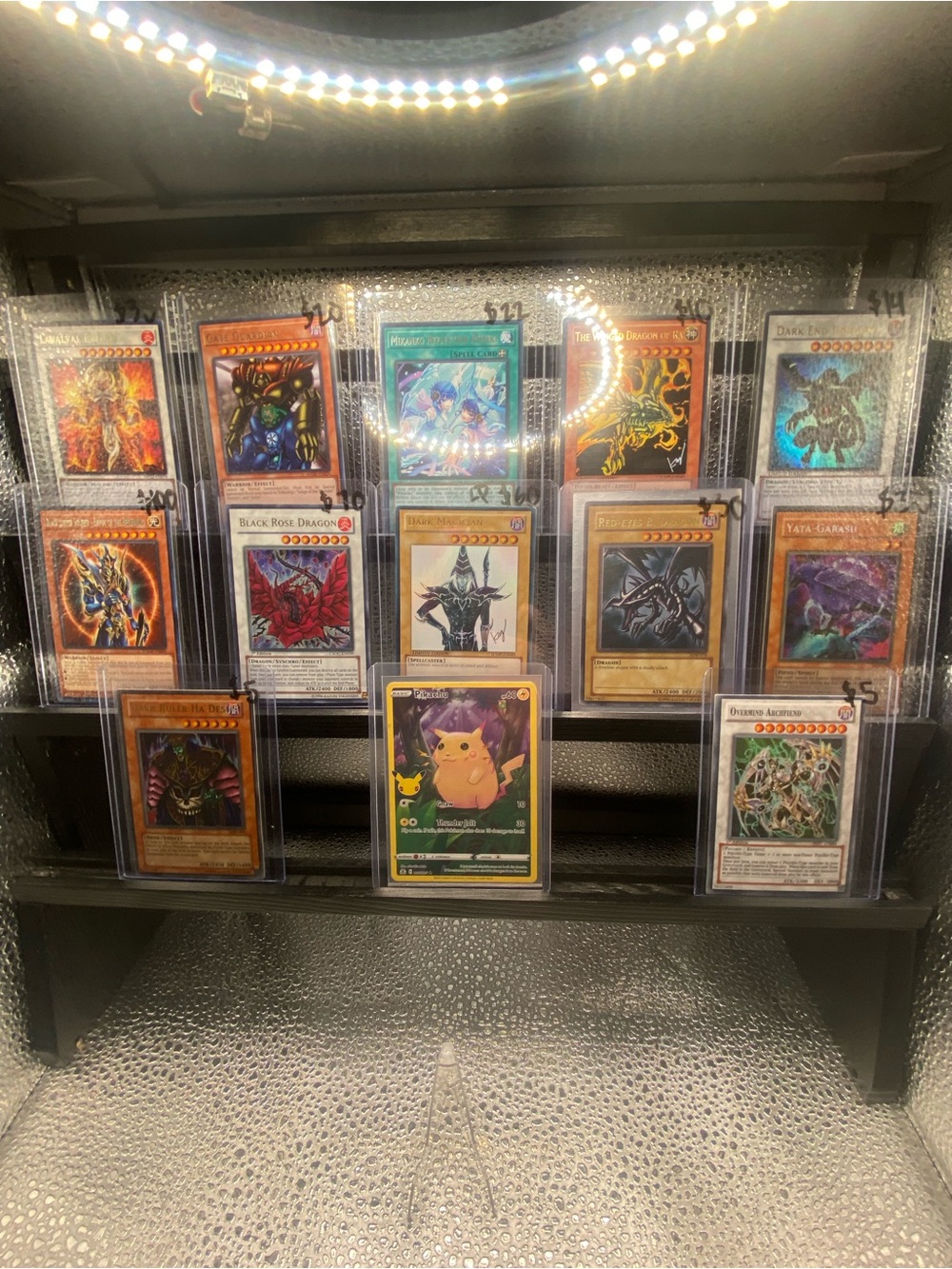 $5 Starts!!